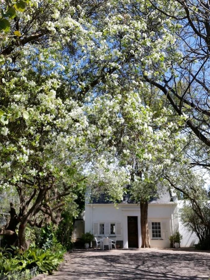 Little Green World Beaufort West Eksteriør bilde
